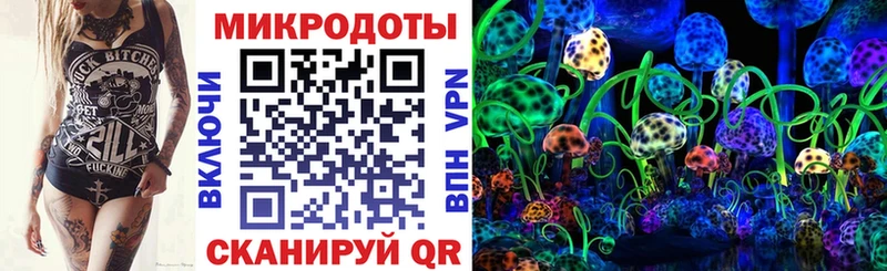 цена   ссылка на мегу tor  Псилоцибиновые грибы Magic Shrooms  Приволжск 
